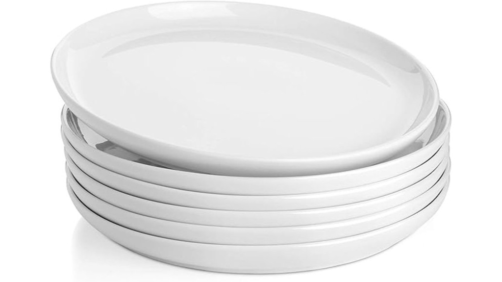 porcelain dinner plates set