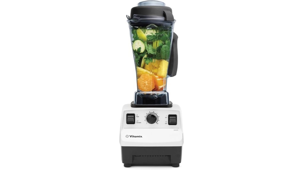 professional grade vitamix blender