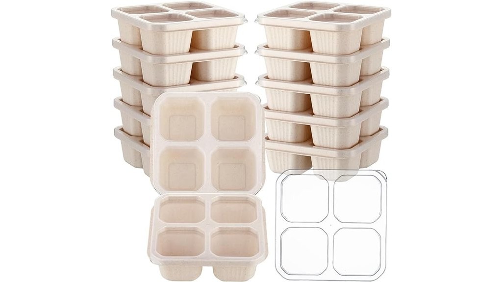 snack containers with lids